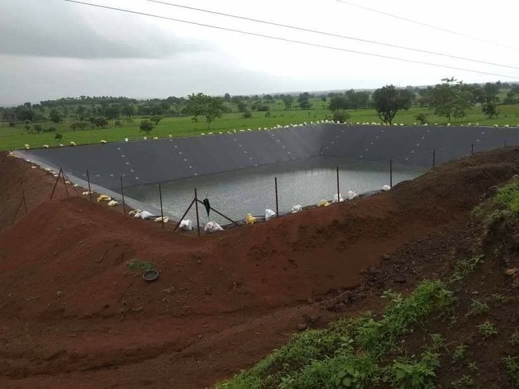 ufugaji wa samaki aina ya sato