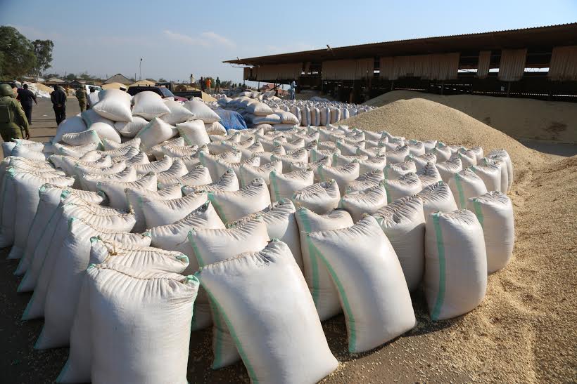 biashara ya nafaka Tanzania