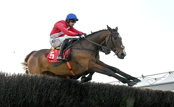 ushauri wa grand national 2026